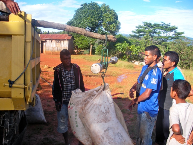 Weighing Coffee - 35 cents a kg